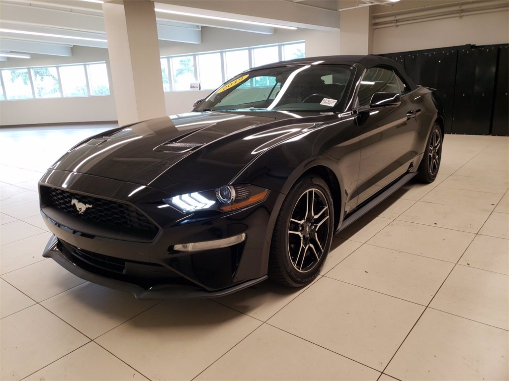 Used 2019 Ford Mustang EcoBoost Premium Black Miami, FL