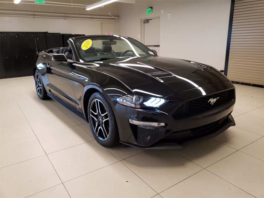 Used 2019 Ford Mustang EcoBoost Premium Black | Miami, FL