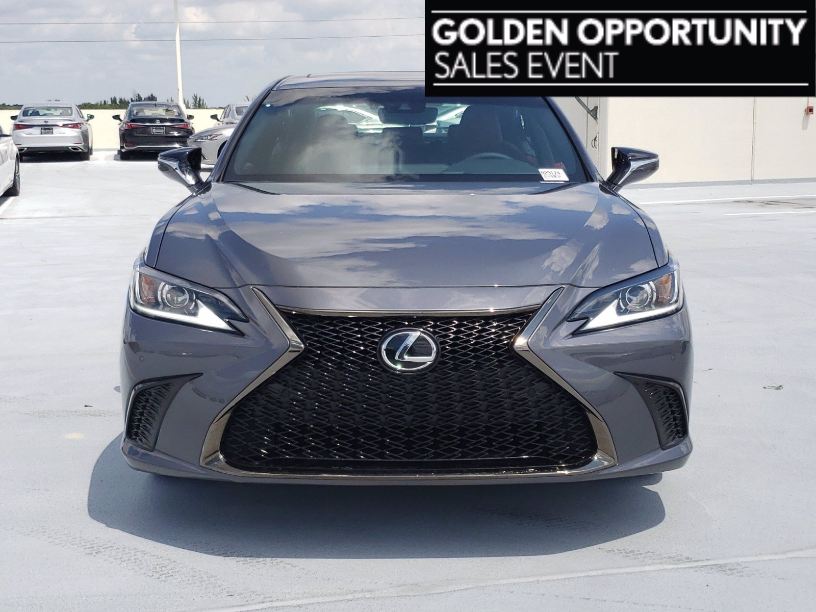 New! 2020 Lexus ES Nebula Gray Pearl | Miami, FL