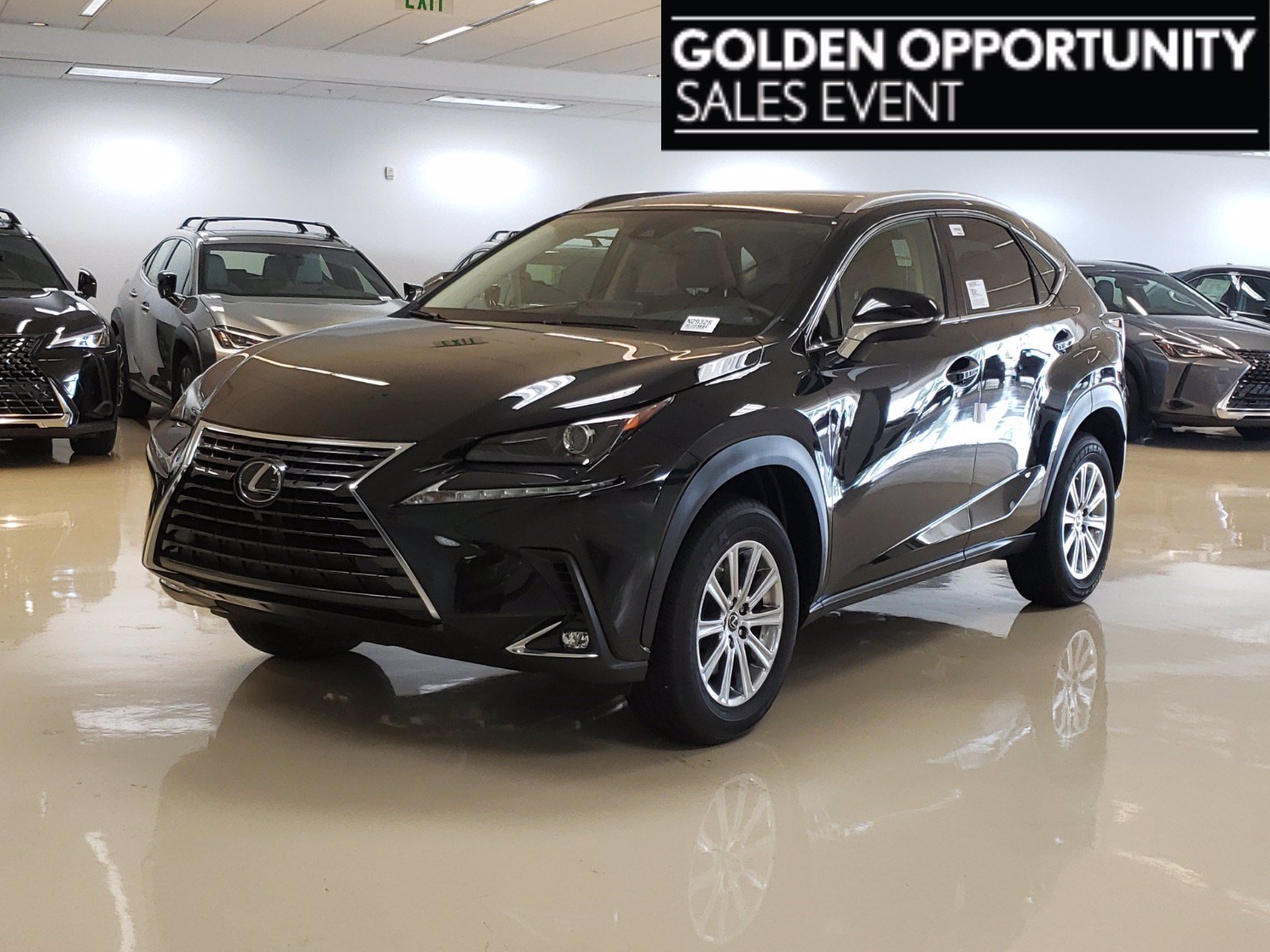 New! 2020 Lexus NX Caviar | Miami, FL