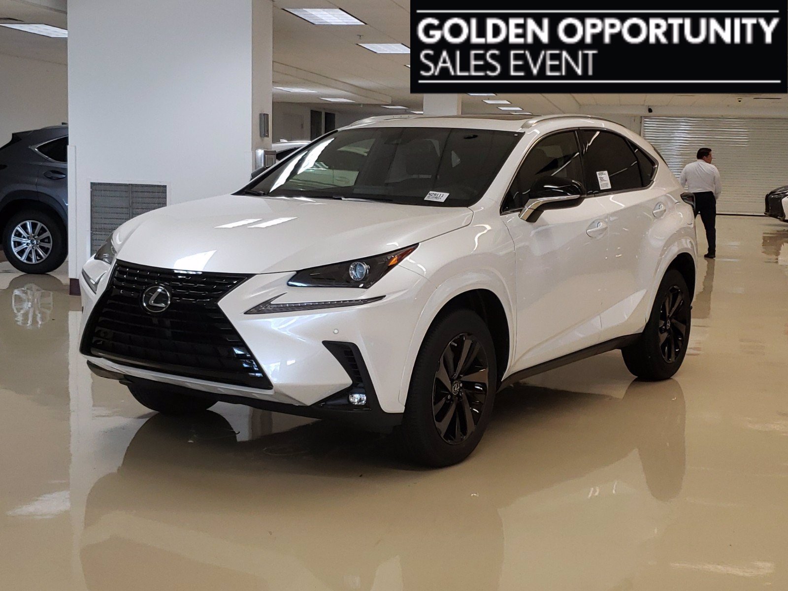 New! 2020 Lexus NX White Pearl | Miami, FL