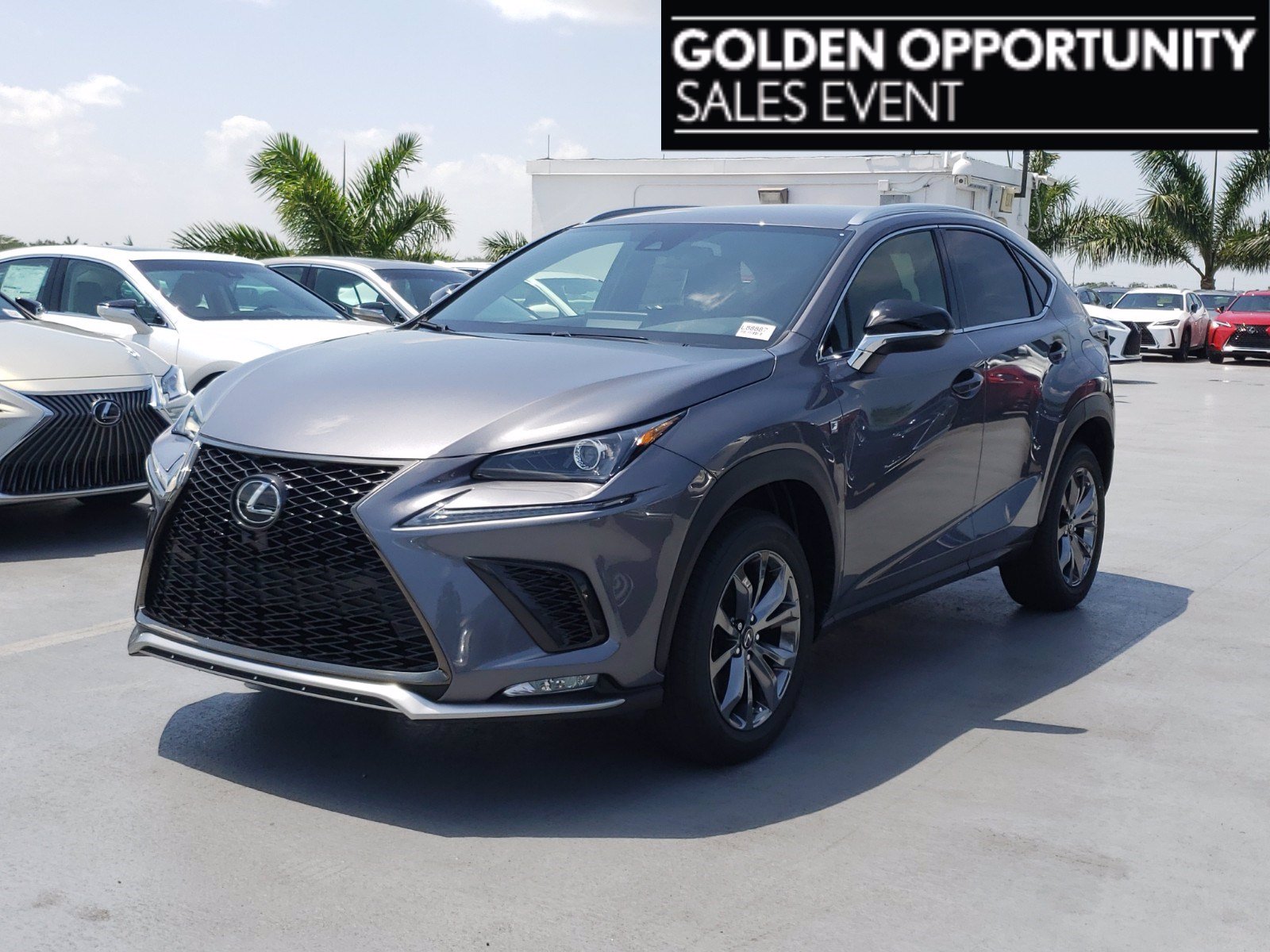 New! 2020 Lexus NX Nebula Gray Pearl | Miami, FL